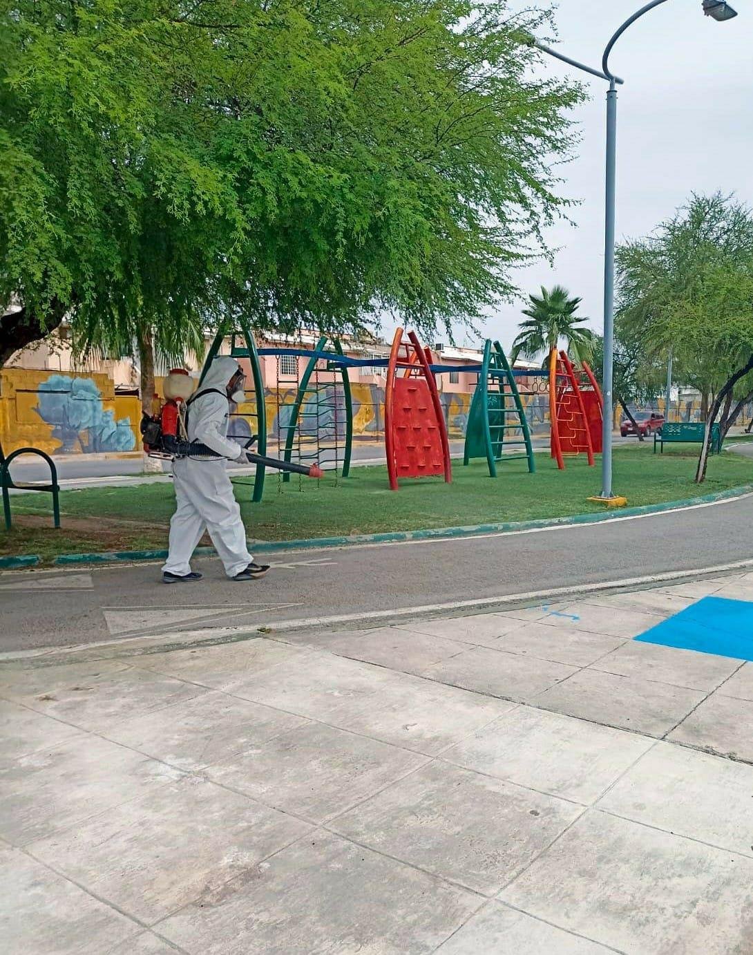 Torreón intensifica medidas contra proliferación de garrapatas en colonias y espacios públicos