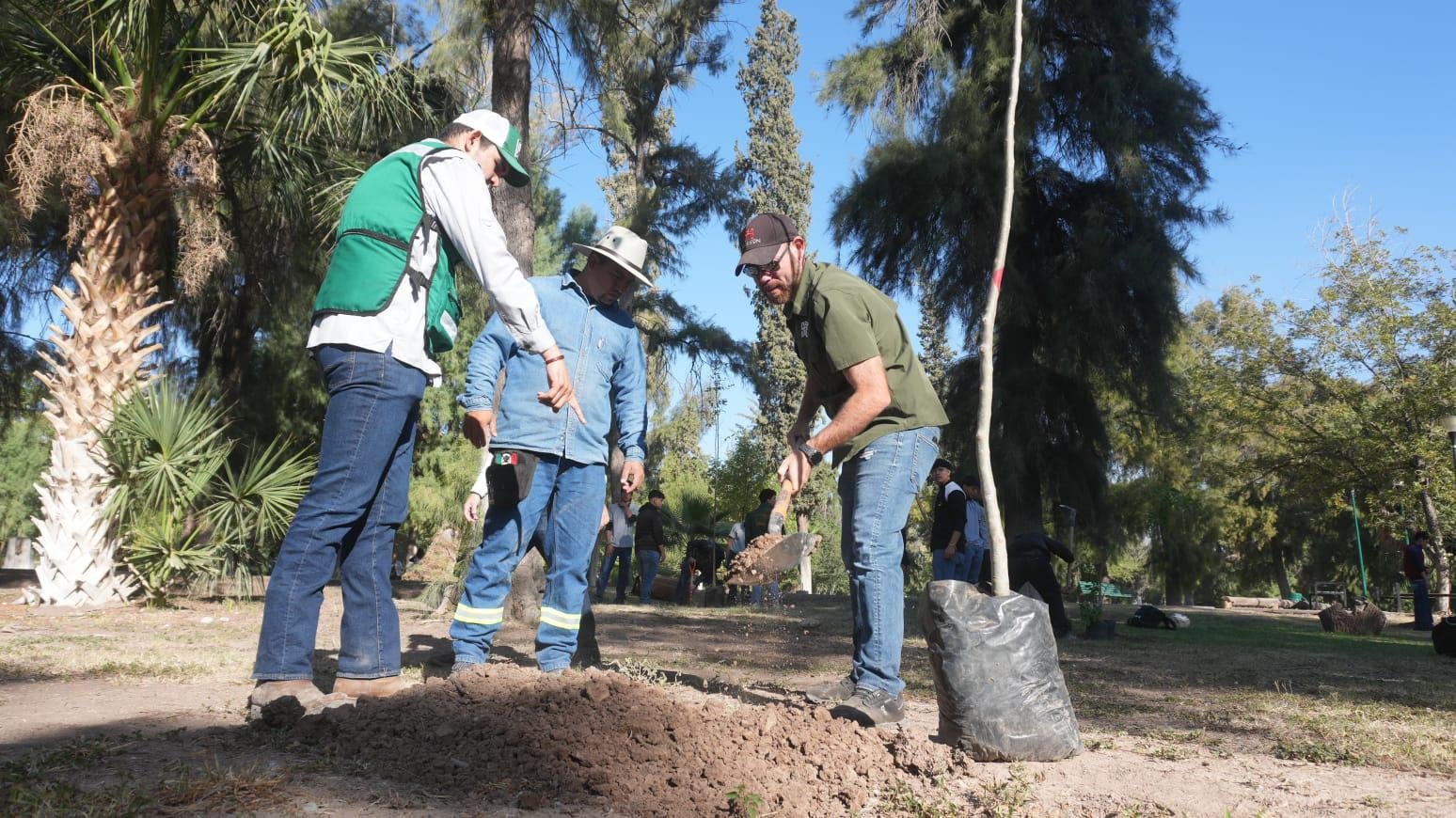 Reforestan Bosque Venustiano Carranza con 100 nuevos árboles en Torreón