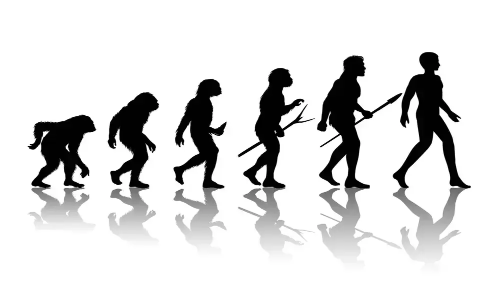 Darwin, la evolución y la sucesión en Coahuila