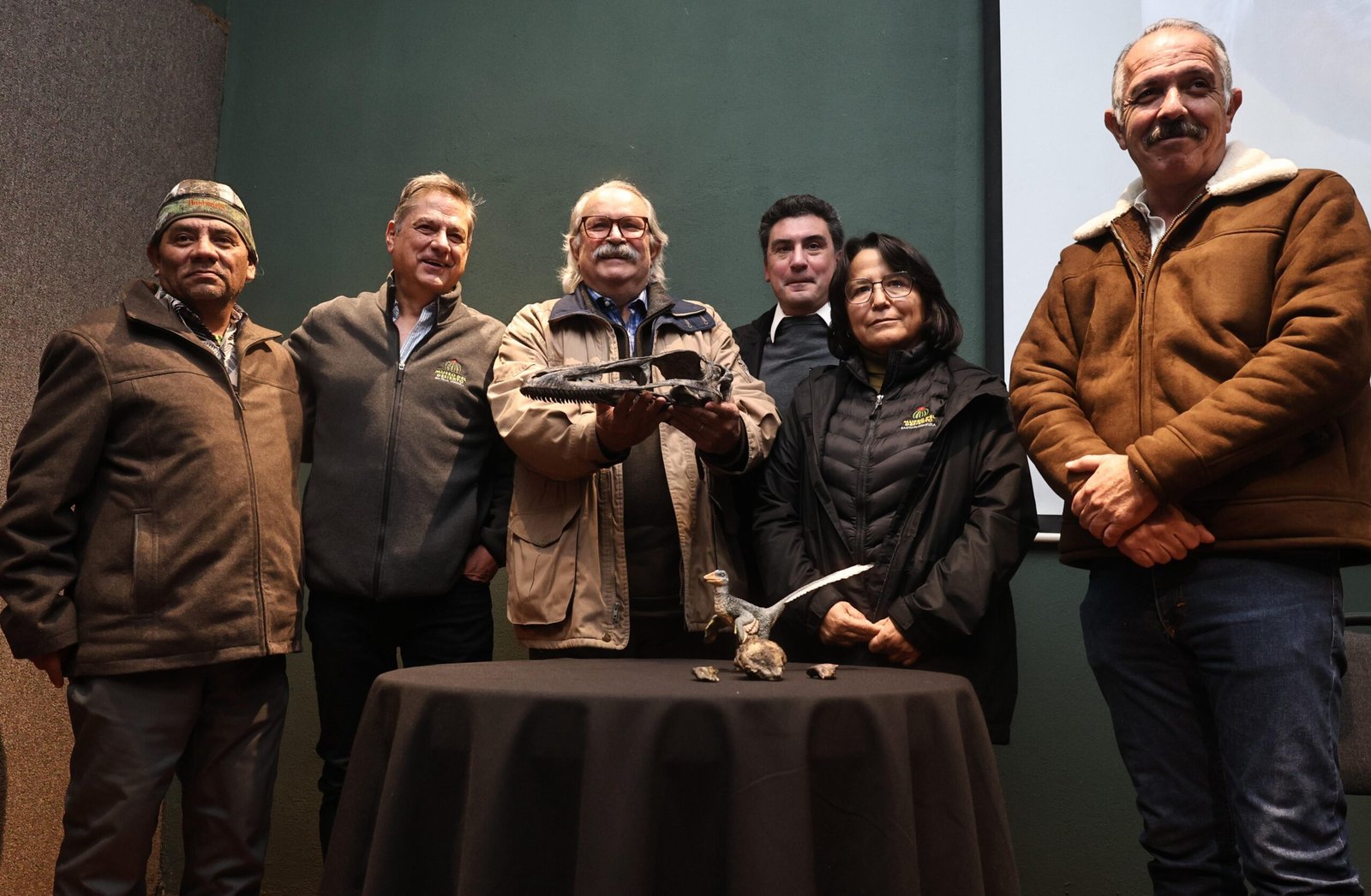 Presenta el Mude nueva especie de dinosaurio carnívoro descubierta en Coahuila