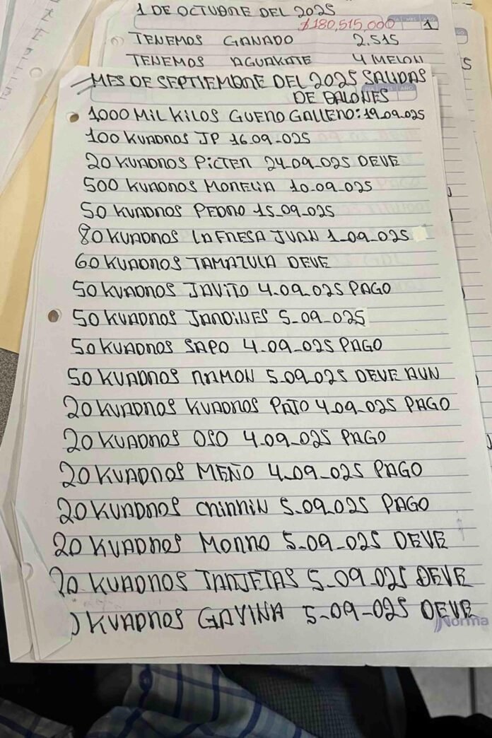 ‘El 03’ o ‘Pelón’, clave en la narconómina de ‘El Mencho’