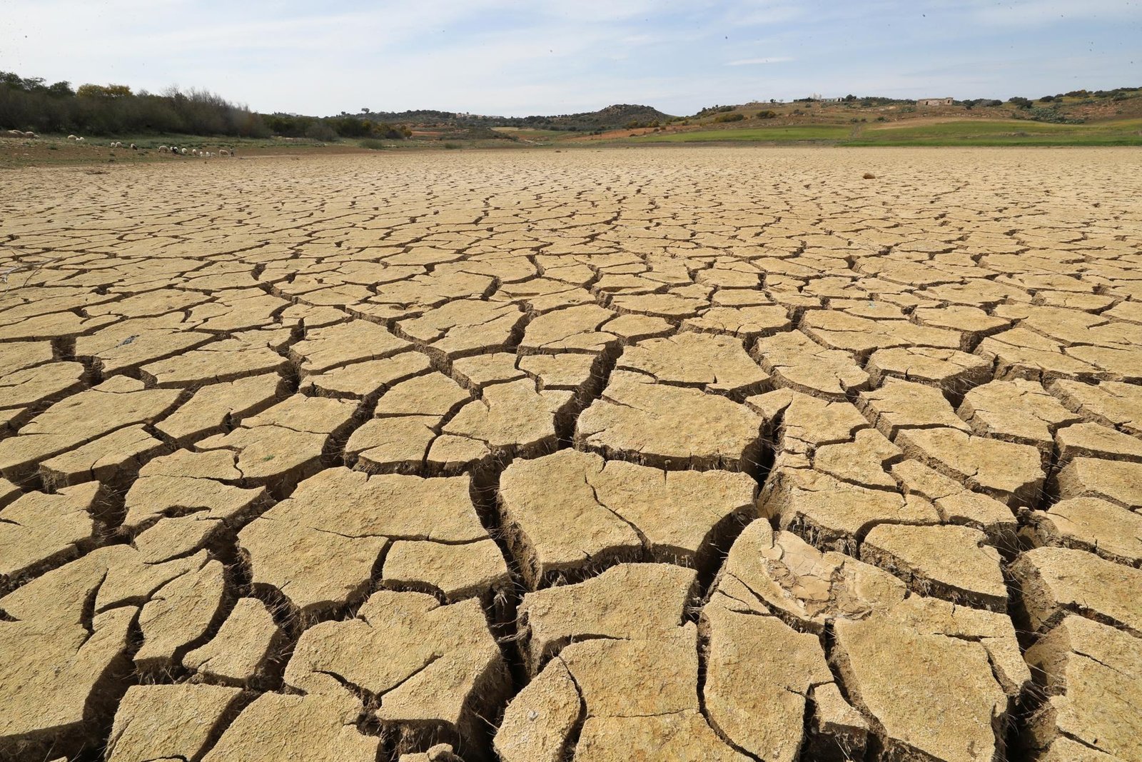 Incentivos adecuados para la acción climática